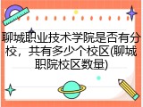 聊城职业技术学院是否有分校，共有多少个校区(聊城职院校区数量)