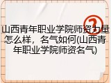 山西青年职业学院师资力量怎么样，名气如何(山西青年职业学院师资名气)
