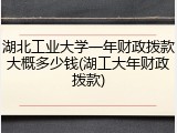 湖北工业大学一年财政拨款大概多少钱(湖工大年财政拨款)