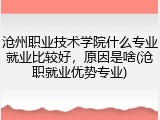 沧州职业技术学院什么专业就业比较好，原因是啥(沧职就业优势专业)