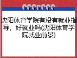 沈阳体育学院有没有就业指导，好就业吗(沈阳体育学院就业前景)