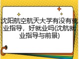 沈阳航空航天大学有没有就业指导，好就业吗(沈航就业指导与前景)