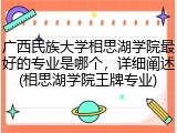 广西民族大学相思湖学院最好的专业是哪个，详细阐述(相思湖学院王牌专业)