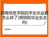 湖南信息学院的学生毕业都怎么样了(湘信院毕业生去向)
