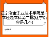 辽宁冶金职业技术学院是一本还是本科第二批(辽宁冶金是几本)