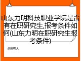 山东力明科技职业学院是否有在职研究生,报考条件如何(山东力明在职研究生报考条件)