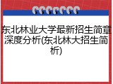 东北林业大学最新招生简章深度分析(东北林大招生简析)
