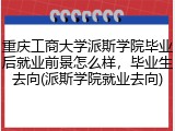 重庆工商大学派斯学院毕业后就业前景怎么样，毕业生去向(派斯学院就业去向)