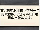 甘肃机电职业技术学院一年财政拨款大概多少钱(甘肃机电学院年拨款)