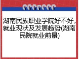 湖南民族职业学院好不好，就业现状及发展趋势(湖南民院就业前景)