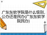 广东东软学院是什么级别，公办还是民办(广东东软学院民办)