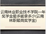 云南林业职业技术学院一年奖学金最多能拿多少(云南林职最高奖学金)
