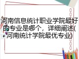 河南信息统计职业学院最好的专业是哪个，详细阐述(河南统计学院最优专业)