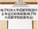 电子科技大学成都学院读什么专业比较有前景(电子科大成都学院前景专业)