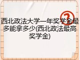 西北政法大学一年奖学金最多能拿多少(西北政法最高奖学金)