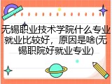 无锡职业技术学院什么专业就业比较好，原因是啥(无锡职院好就业专业)