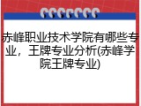 赤峰职业技术学院有哪些专业，王牌专业分析(赤峰学院王牌专业)