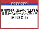 贵州城市职业学院的王牌专业是什么(贵州城市职业学院王牌专业)