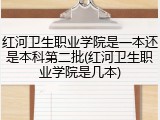 红河卫生职业学院是一本还是本科第二批(红河卫生职业学院是几本)