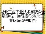 湖北工业职业技术学院含金量量吗，值得报吗(湖北工业职院值得报吗)