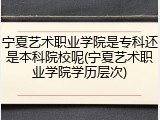 宁夏艺术职业学院是专科还是本科院校呢(宁夏艺术职业学院学历层次)