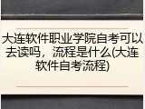 大连软件职业学院自考可以去读吗，流程是什么(大连软件自考流程)