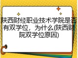 陕西财经职业技术学院是否有双学位，为什么(陕西财院双学位原因)