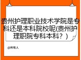 贵州护理职业技术学院是专科还是本科院校呢(贵州护理职院专科本科？)
