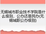 无锡城市职业技术学院是什么级别，公办还是民办(无锡城职公办级别)