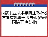 西藏职业技术学院主攻什么方向有哪些王牌专业(西藏职院王牌专业)