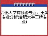 合肥大学有哪些专业，王牌专业分析(合肥大学王牌专业)