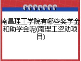 南昌理工学院有哪些奖学金和助学金呢(南理工资助项目)