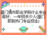 厦门城市职业学院什么专业最好，一年招多少人(厦门职院热门专业招生)