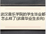 武汉音乐学院的学生毕业都怎么样了(武音毕业生去向)