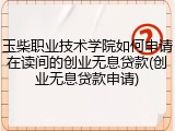 玉柴职业技术学院如何申请在读间的创业无息贷款(创业无息贷款申请)