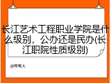 长江艺术工程职业学院是什么级别，公办还是民办(长江职院性质级别)