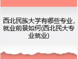 西北民族大学有哪些专业，就业前景如何(西北民大专业就业)