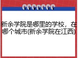 新余学院是哪里的学校，在哪个城市(新余学院在江西)