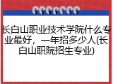 长白山职业技术学院什么专业最好，一年招多少人(长白山职院招生专业)