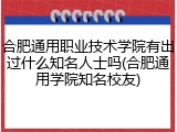 合肥通用职业技术学院有出过什么知名人士吗(合肥通用学院知名校友)