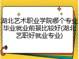 湖北艺术职业学院哪个专业毕业就业前景比较好(湖北艺职好就业专业)