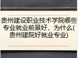 贵州建设职业技术学院哪些专业就业前景好，为什么(贵州建院好就业专业)