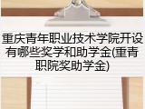 重庆青年职业技术学院开设有哪些奖学和助学金(重青职院奖助学金)