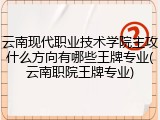云南现代职业技术学院主攻什么方向有哪些王牌专业(云南职院王牌专业)