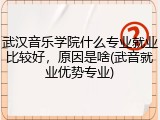 武汉音乐学院什么专业就业比较好，原因是啥(武音就业优势专业)