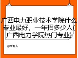 广西电力职业技术学院什么专业最好，一年招多少人(广西电力学院热门专业)