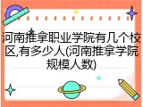 河南推拿职业学院有几个校区,有多少人(河南推拿学院规模人数)