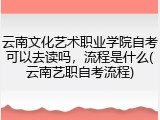 云南文化艺术职业学院自考可以去读吗，流程是什么(云南艺职自考流程)