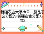 新疆农业大学宿舍一般是怎么分配的(新疆宿舍分配方式)