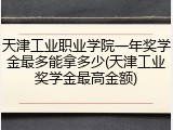 天津工业职业学院一年奖学金最多能拿多少(天津工业奖学金最高金额)